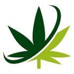 Aceites de CBD